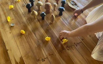Introducing Slow Medicine: healing at the Pace of your Nervous System