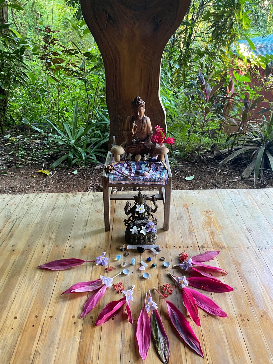 Costa Rica Mexico 4 Psychedelic Guide
