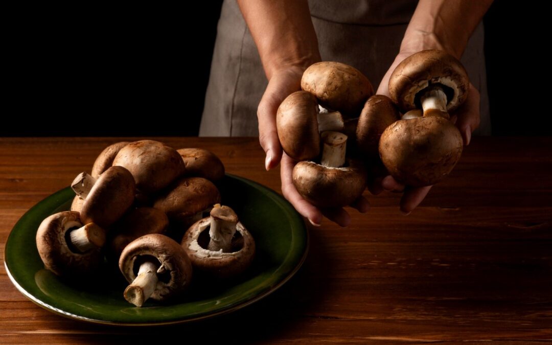 How an Oaxaca Mushroom Retreat Can Help in Healing