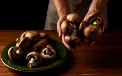 How an Oaxaca Mushroom Retreat Can Help in Healing